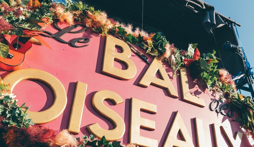 2 Le Bal des Oiseaux déco HD - NicoM-2 Le Bal des Oiseaux – Dreux (28)