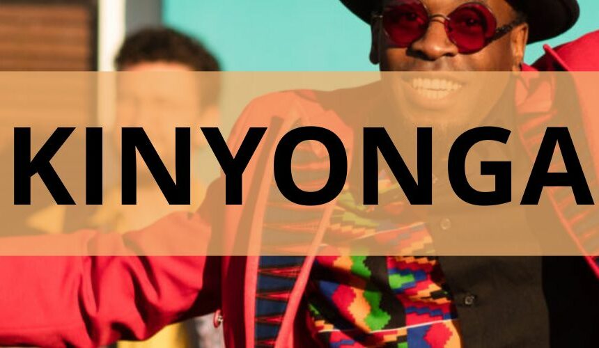 Bandeaux NL Kinyonga – Des Habits et Vous – La Boite Noire – Janzé (35)